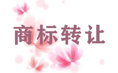 上海商標(biāo)與版權(quán)代理全攻略 保護(hù)創(chuàng)意從注冊(cè)開始